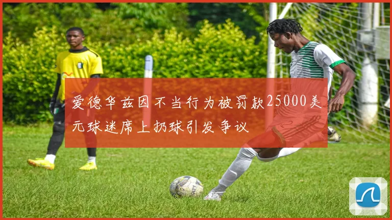 爱德华兹因不当行为被罚款25000美元球迷席上扔球引发争议